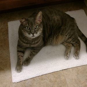 Meet your Posher, Jean